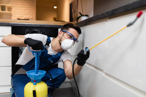 Best Best Pest Control Companies  in Beeville, TX