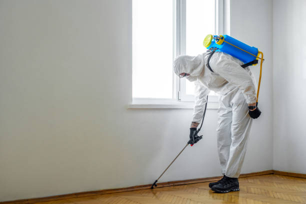 Best Mosquito Control Services  in Beeville, TX
