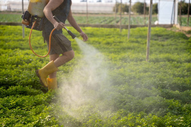Best Best Pest Control Near Me  in Beeville, TX