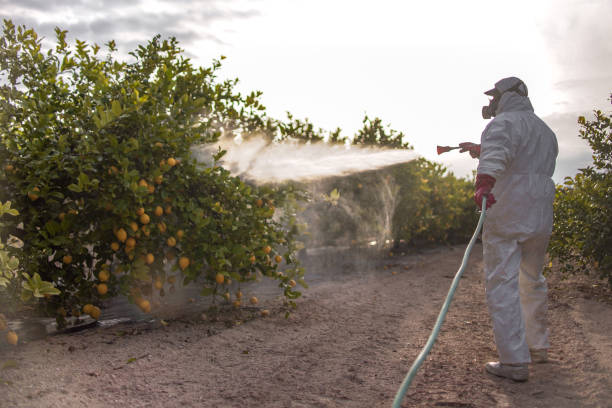 Best Pest Control for Businesses  in Beeville, TX