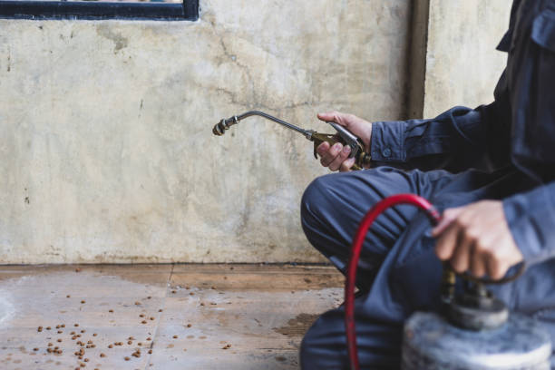 Best Affordable Pest Control Services  in Beeville, TX